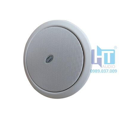 Dsp803 Ceiling Speaker 2